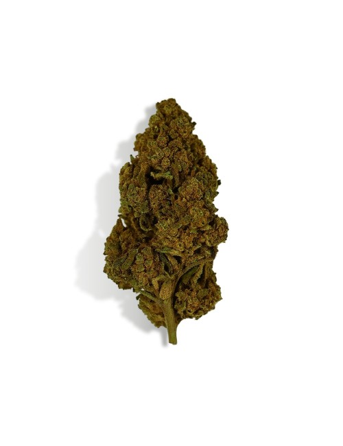 CBD Çiçeği Tonic Kush