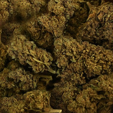 CBD Çiçeği Tonic Kush