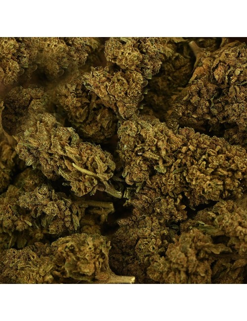 CBD Çiçeği Tonic Kush