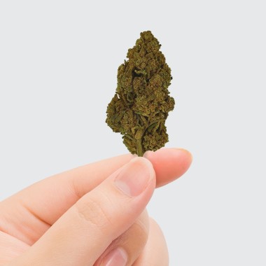 CBD Çiçeği Tonic Kush