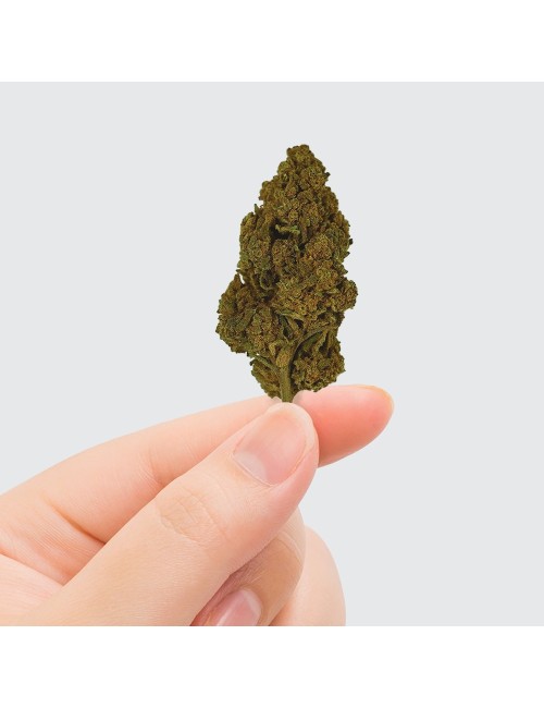 CBD Çiçeği Tonic Kush