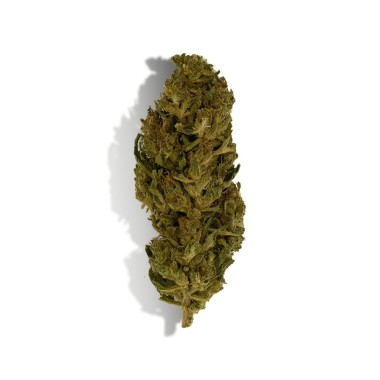 CBD Çiçeği - LEMON HAZE