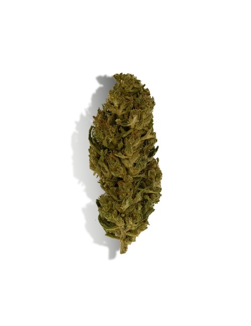 CBD Çiçeği - LEMON HAZE