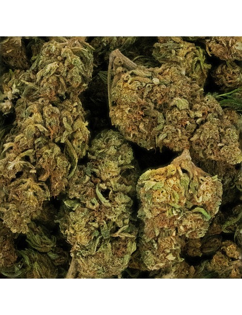 CBD Çiçeği - LEMON HAZE