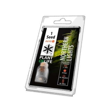 Sammelkorn NORTHERN LIGHTS AUTO