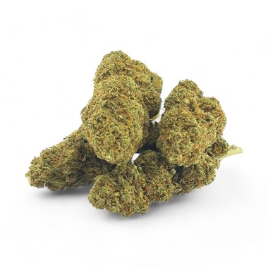 CBD Çiçek Strawberry Haze %10