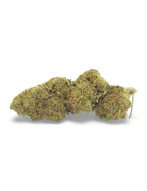 CBD Çiçek Strawberry Haze %10