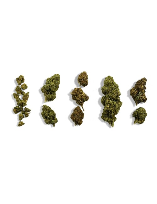 CBD Çiçekleri Başlangıç Keşif Seti