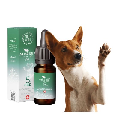 CBD Yağı %5 Geniş Spektrum Köpekler İçin | ALPAISIA