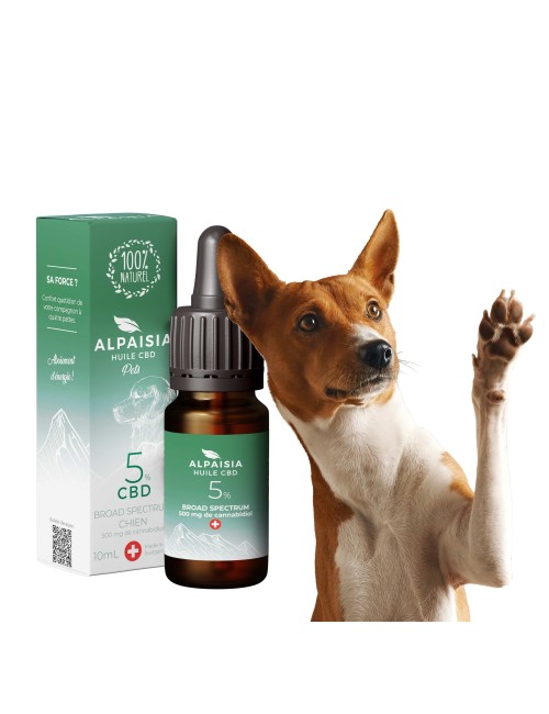 CBD Yağı %5 Geniş Spektrum Köpekler İçin | ALPAISIA