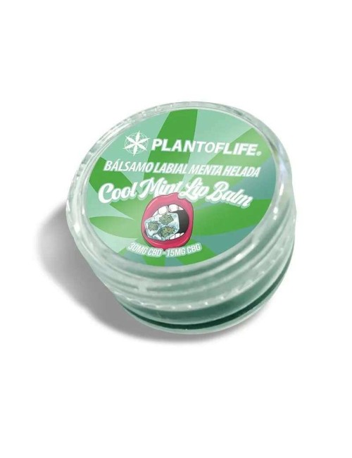 CBD & CBG Dudak Balmı Nane | PLANT OF LIFE