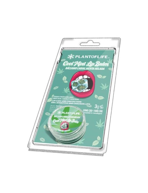 CBD & CBG Dudak Balmı Nane | PLANT OF LIFE