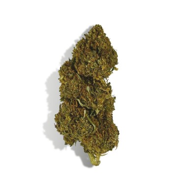 CBD Çiçekleri Başlangıç Keşif Seti