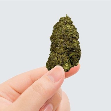 CBD Çiçeği - PINK LADY KUSH