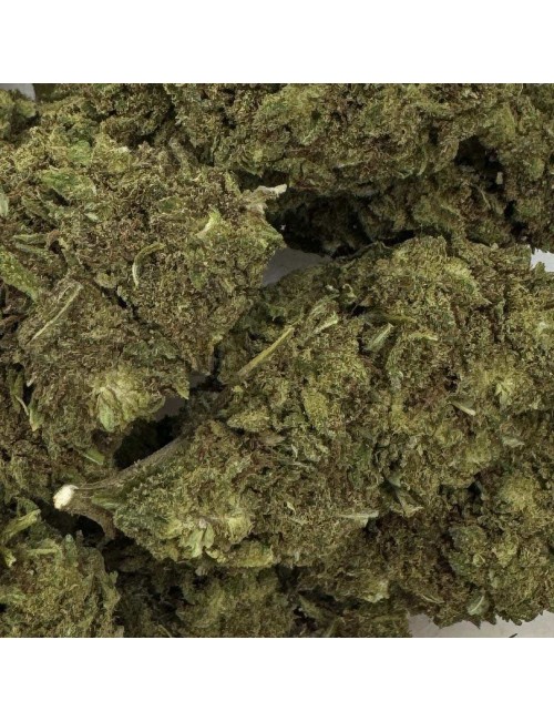 CBD Çiçeği - PINK LADY KUSH