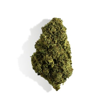 CBD Çiçeği - BUBBLEGUM