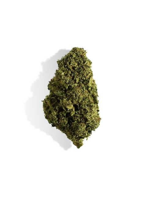 CBD Çiçeği - BUBBLEGUM