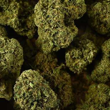 CBD Çiçeği - BUBBLEGUM