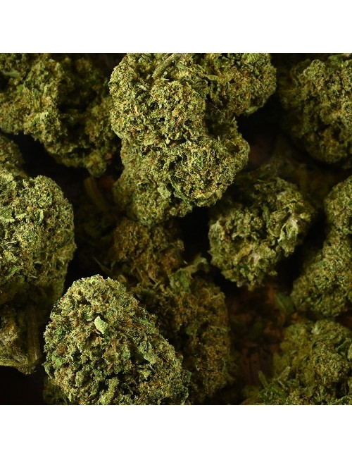 CBD Çiçeği - BUBBLEGUM