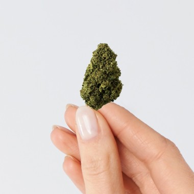 CBD Çiçeği - BUBBLEGUM