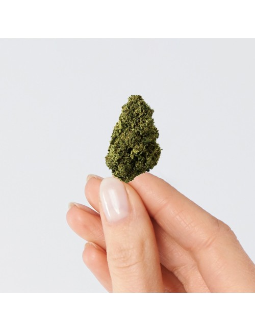 CBD Çiçeği - BUBBLEGUM