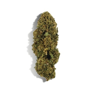 CBD Çiçeği - WHITE DAWG