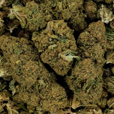 CBD Çiçeği - WHITE DAWG