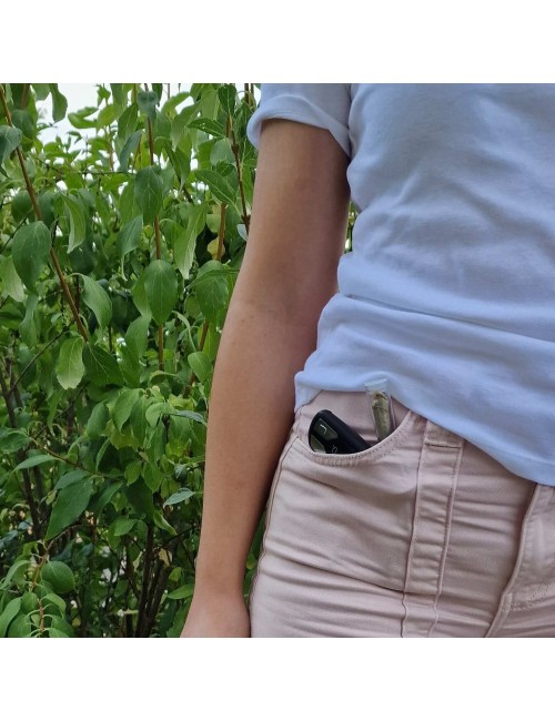 Infustick CBD AMNESIA HAZE