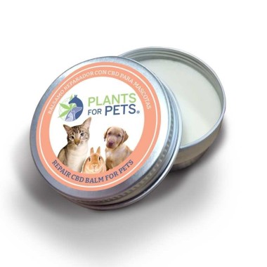 CBD Onarıcı Balsam Hayvanlar için güçlü | PLANTS FOR PETS