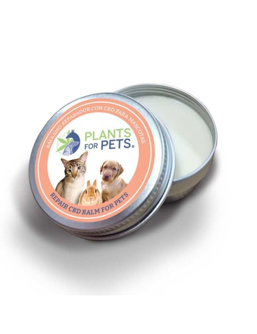 CBD Onarıcı Balsam Hayvanlar için güçlü | PLANTS FOR PETS