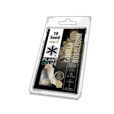 Sammelsamenkorn GORILLA BUBBLEGUM FEMINISIERT