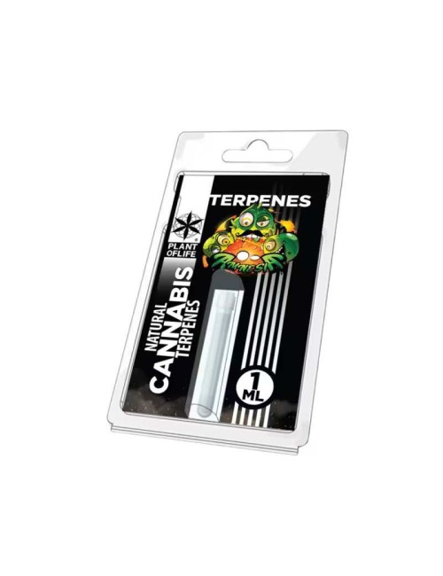 Terpenler Amnesia | PLANT OF LIFE