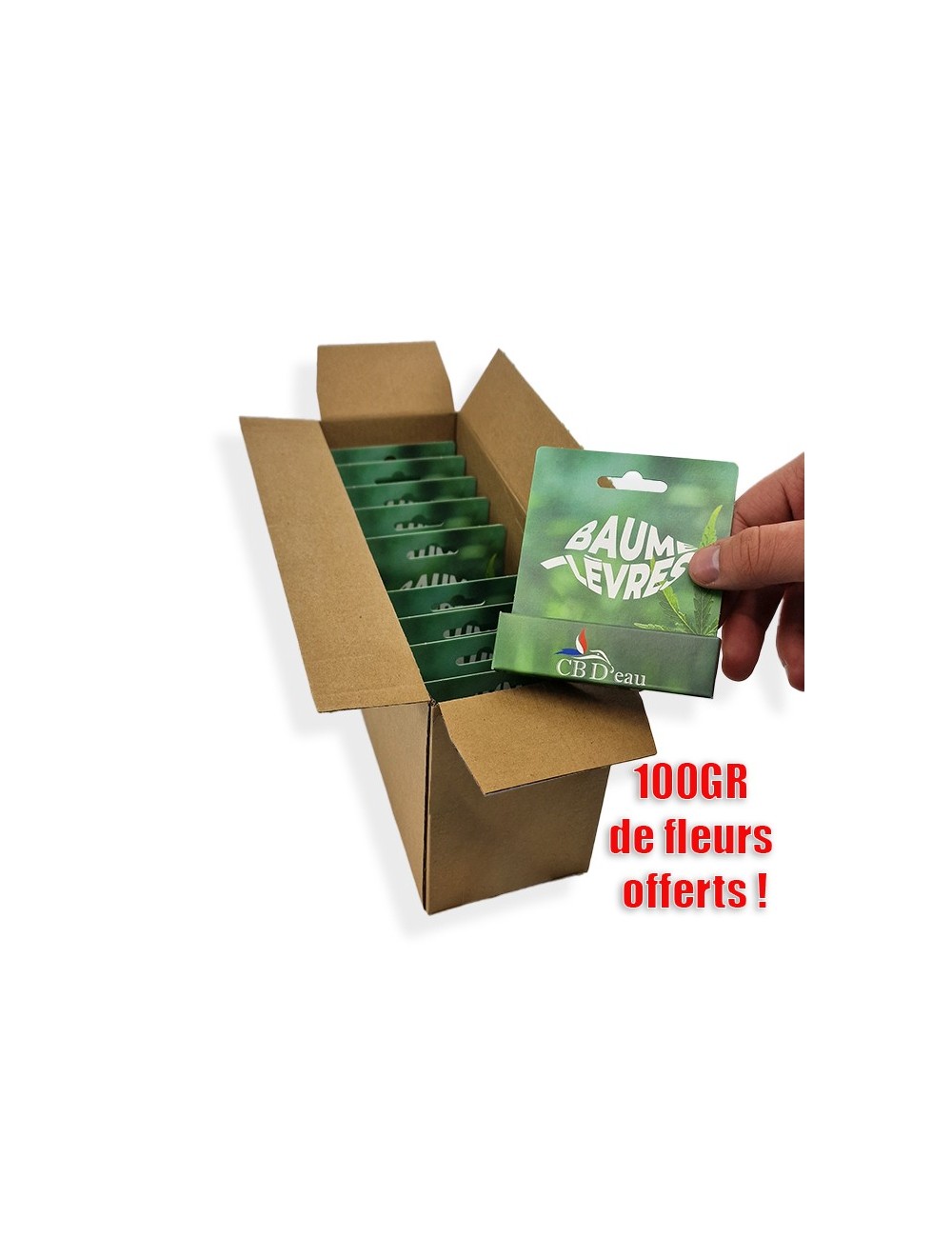 HANFÖL-LIPPENBALSAM-SET | CBD'EAU