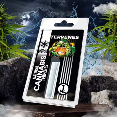 Terpenler Amnesia | PLANT OF LIFE