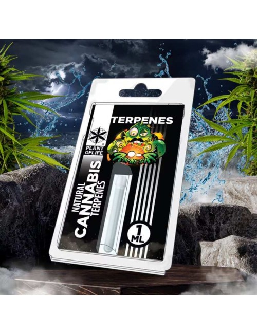 Terpenler Amnesia | PLANT OF LIFE