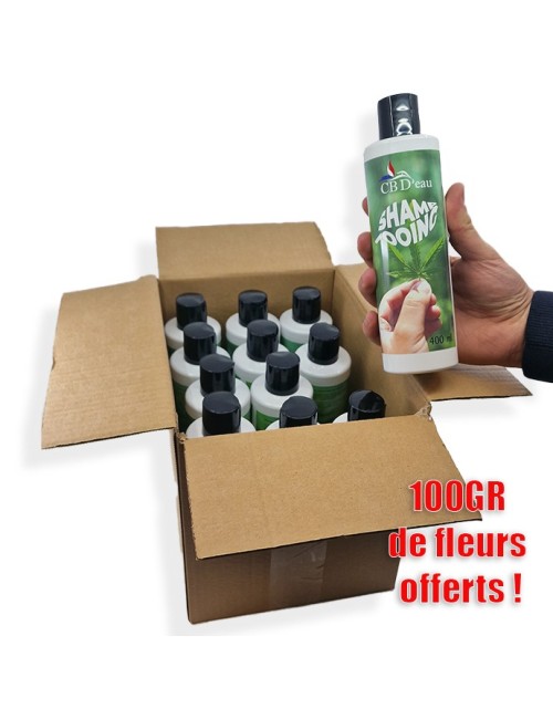 HANFÖL-SHAMPOO-SET | CBD'EAU