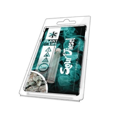 Terpen Sour Diesel | PLANT OF LIFE