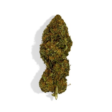 CBD Çiçek - CANDY KUSH