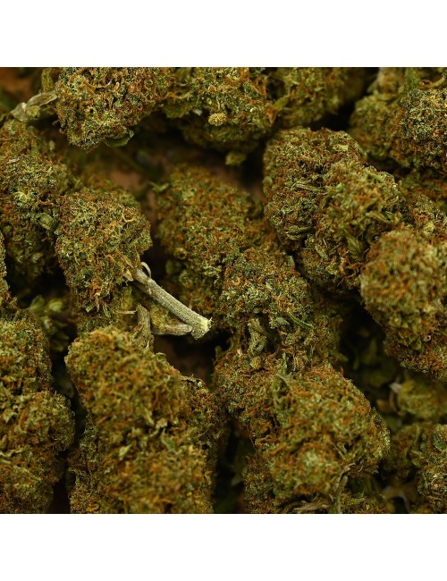 CBD Çiçek - CANDY KUSH