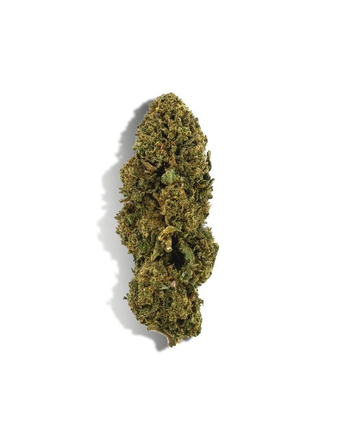 CBD Çiçekleri Başlangıç Keşif Seti