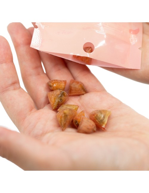 CBD-Greyfurt Şekeri | NOVALOA