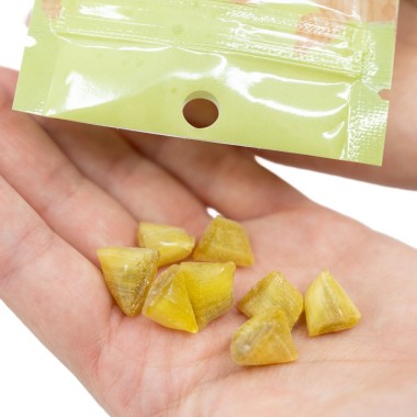 CBD-Zencefil Şekeri | NOVALOA