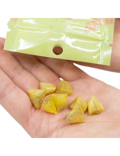 CBD-Zencefil Şekeri | NOVALOA