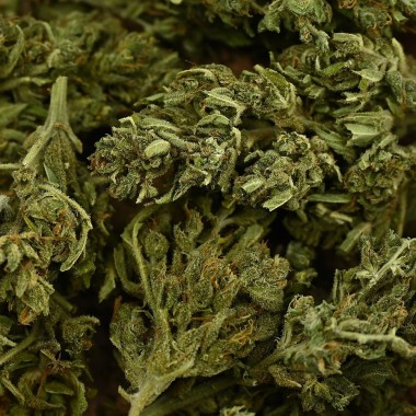 CBD Çiçeği - EUPHORIA