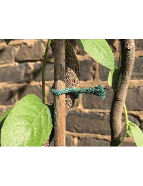 Burmalı jüt ip yeşil 5m