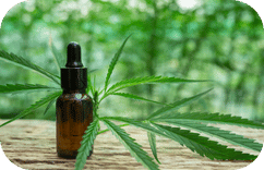  CBG-Öl: Die verborgene Kraft der „Mutter aller Cannabinoide“ – Ein vollständiger Leitfaden